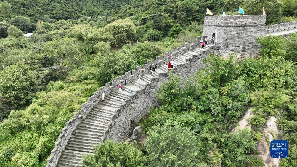 水果机怎么打好下分